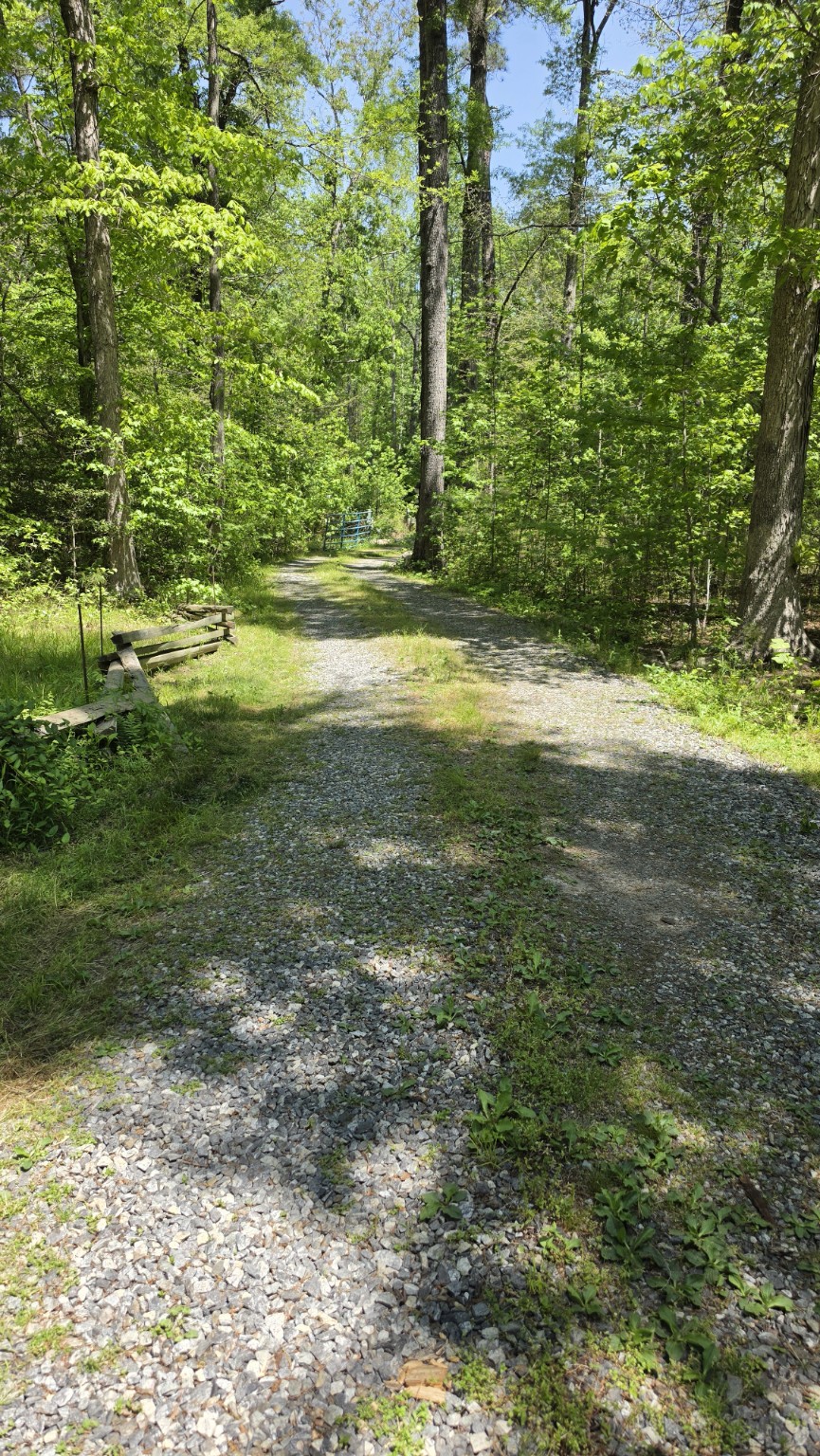 Driveway before refurbishing